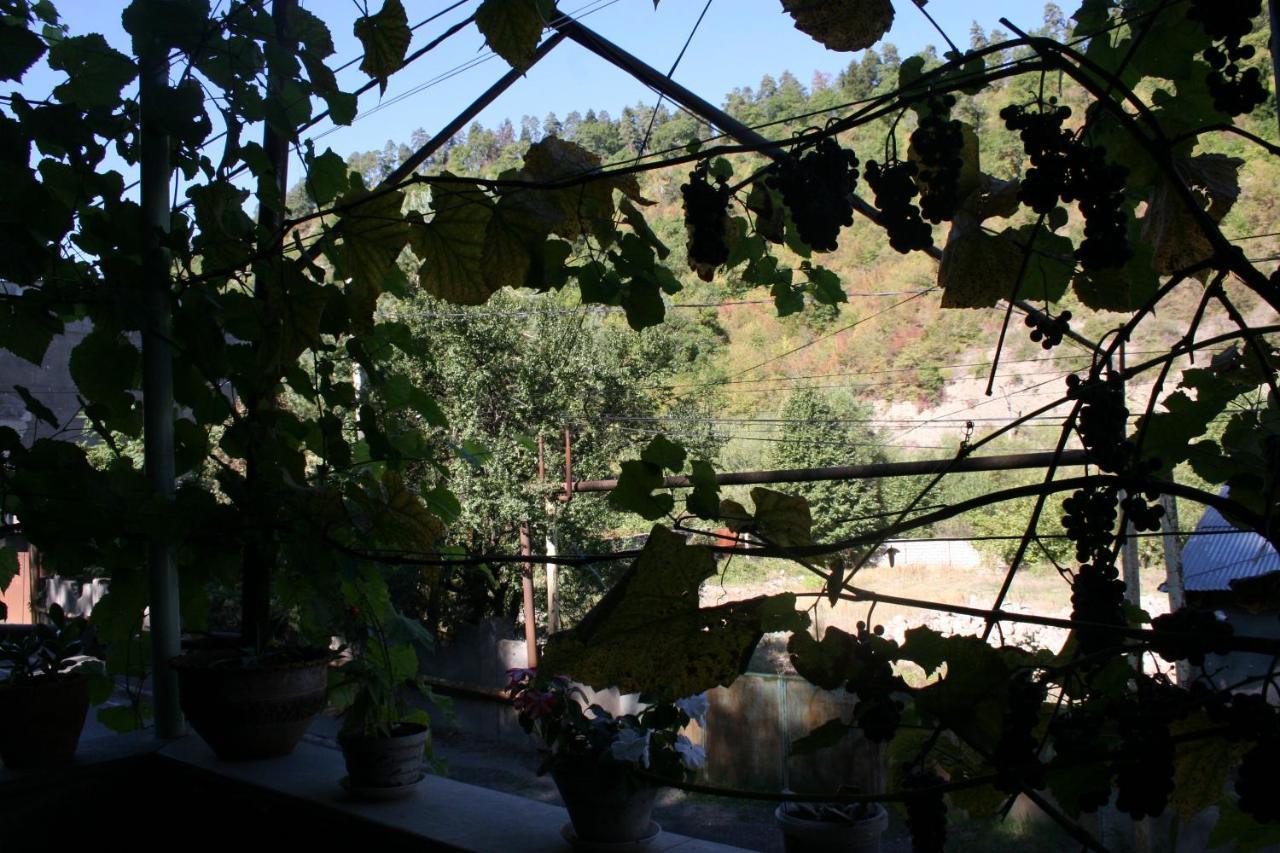 Guest House Nima Borjomi Dış mekan fotoğraf